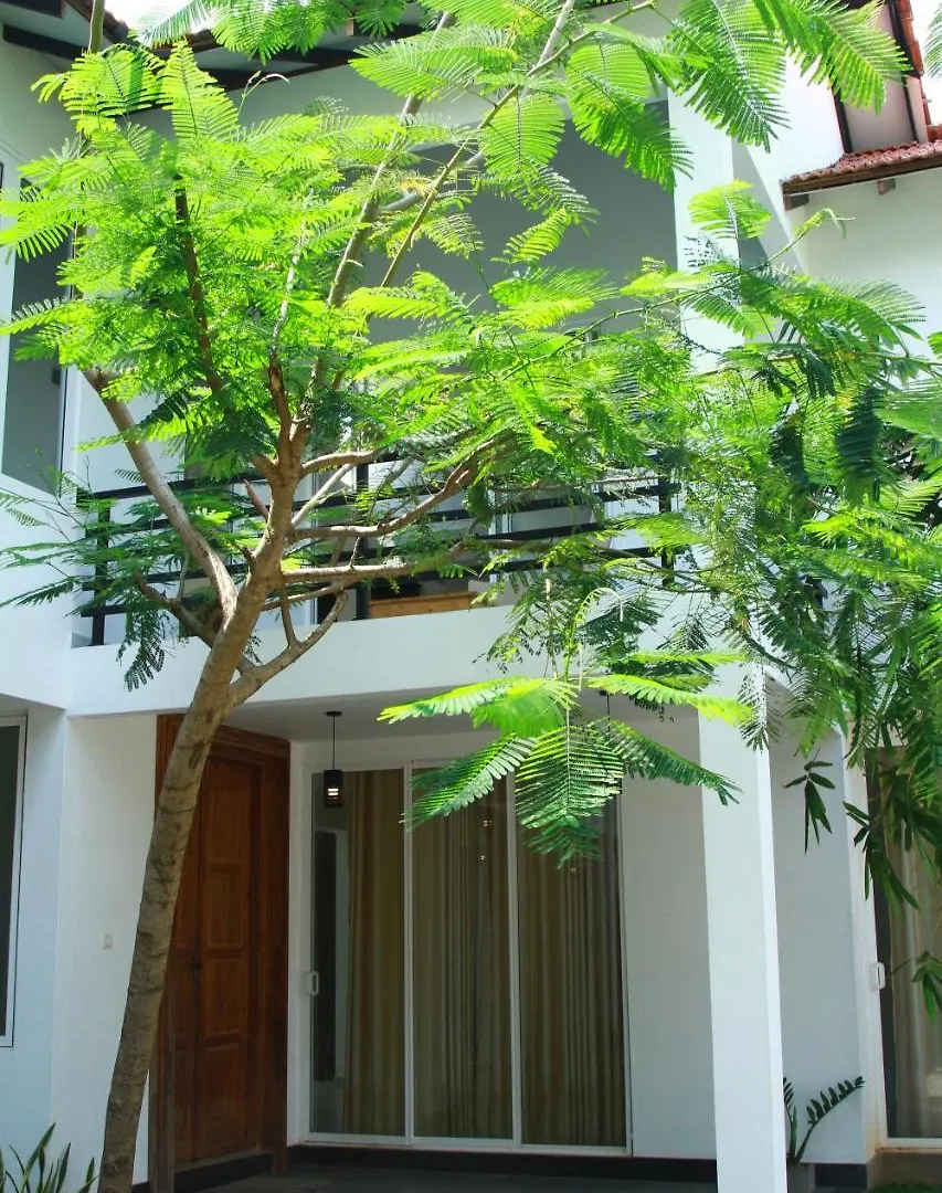 홈스테이 Green Boutique Villa Bolawalana