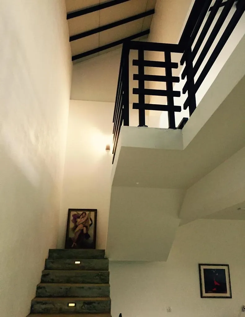 홈스테이 Green Boutique Villa Bolawalana