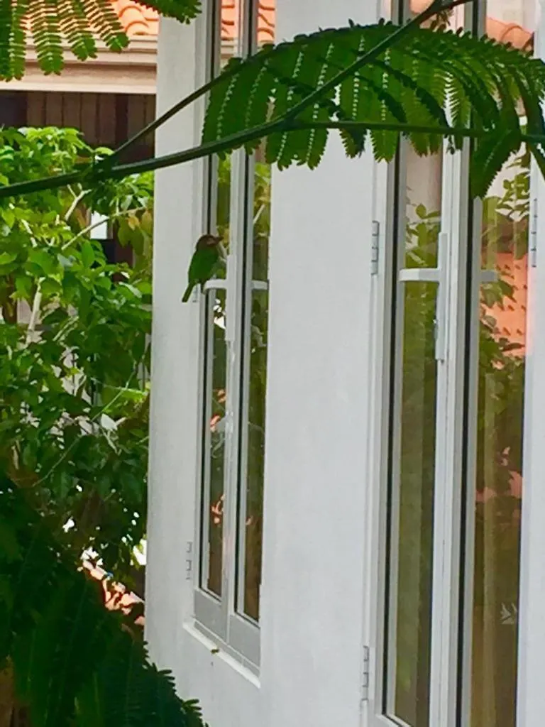 Green Boutique Villa Bolawalana 홈스테이