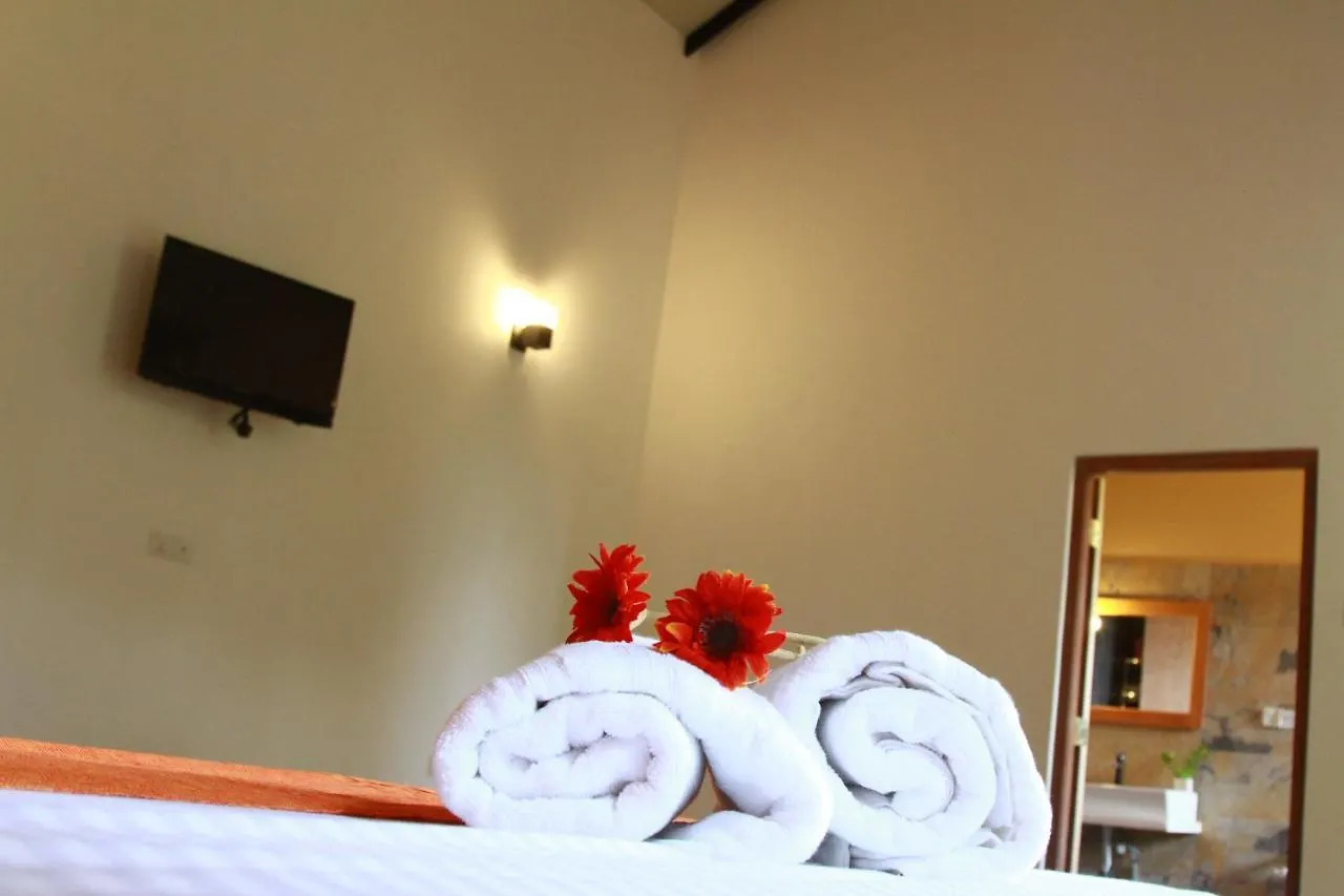 홈스테이 Green Boutique Villa Bolawalana